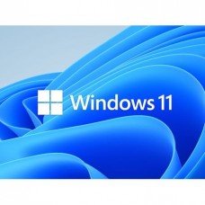 Microsoft Windows 11 Professional